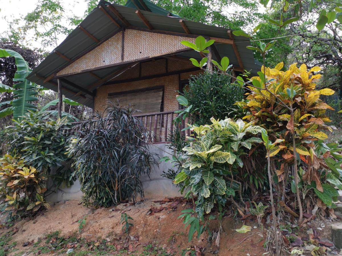 Tapik Beach Park Guest House El Nido Exterior foto